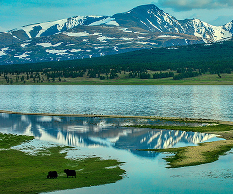Khoton Lake Mongolia